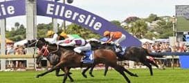 Courses hippiques en Nouvelle-Zélande