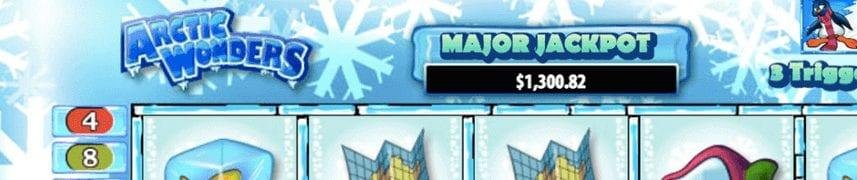 Arcticwonders 857X180