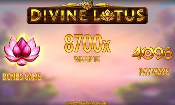 lotus divin